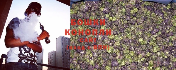 PSILOCYBIN Балабаново