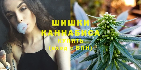 дживик Баксан