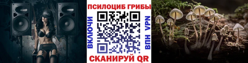 Псилоцибиновые грибы ЛСД  МЕГА ссылки  Навашино 